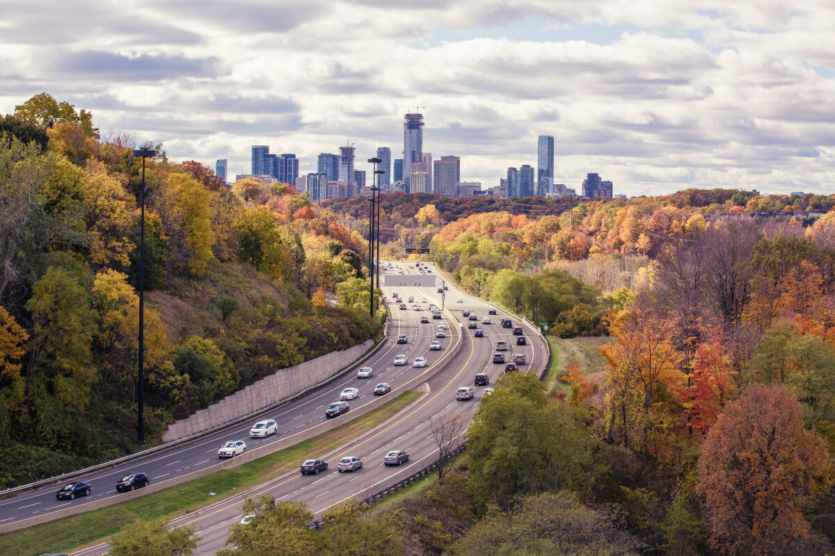 The city of San Francisco never ceases to surprise