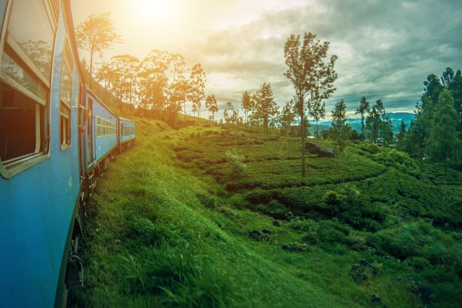 Colombo + Candy + Nuwara  Eliya